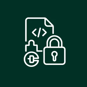 Contrôle total du code d’un plugin WordPress sur mesure