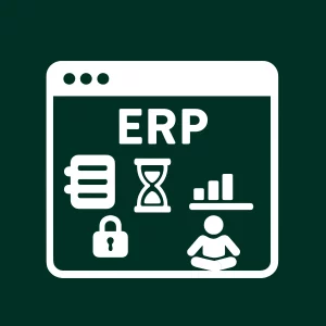Système ERP personnalisé intégrant gestion des stocks, finances et ressources humaines