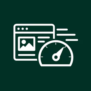 Plugin WordPress sur mesure optimisé pour la vitesse et les performances