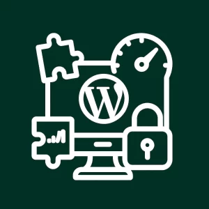 Développement de plugins WordPress sur mesure